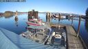 ./images/quadra/hbidock/20250217/hbidock20250217_120000M.jpg