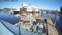 ./images/quadra/hbidock/20250217/hbidock20250217_124009M.jpg