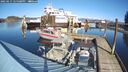 ./images/quadra/hbidock/20250217/hbidock20250217_125508M.jpg
