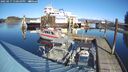 ./images/quadra/hbidock/20250217/hbidock20250217_130010M.jpg