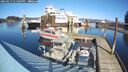 ./images/quadra/hbidock/20250217/hbidock20250217_131009M.jpg