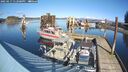 ./images/quadra/hbidock/20250217/hbidock20250217_132000M.jpg