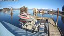 ./images/quadra/hbidock/20250217/hbidock20250217_132008M.jpg