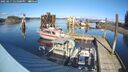 ./images/quadra/hbidock/20250217/hbidock20250217_141000M.jpg