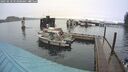 ./images/quadra/hbidock/20250218/hbidock20250218_093508M.jpg