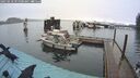 ./images/quadra/hbidock/20250218/hbidock20250218_095000M.jpg