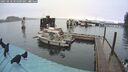 ./images/quadra/hbidock/20250218/hbidock20250218_095009M.jpg