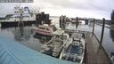 ./images/quadra/hbidock/20250218/hbidock20250218_123500M.jpg