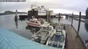 ./images/quadra/hbidock/20250218/hbidock20250218_131009M.jpg