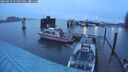 ./images/quadra/hbidock/20250219/hbidock20250219_071507M.jpg