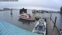 ./images/quadra/hbidock/20250219/hbidock20250219_075000M.jpg