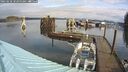 ./images/quadra/hbidock/20250220/hbidock20250220_103000M.jpg