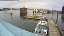 ./images/quadra/hbidock/20250220/hbidock20250220_125010M.jpg