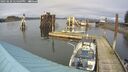 ./images/quadra/hbidock/20250220/hbidock20250220_144509M.jpg