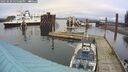 ./images/quadra/hbidock/20250220/hbidock20250220_145508M.jpg