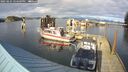 ./images/quadra/hbidock/20250225/hbidock20250225_154509M.jpg