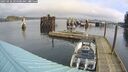 ./images/quadra/hbidock/20250226/hbidock20250226_094000M.jpg