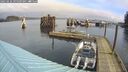 ./images/quadra/hbidock/20250226/hbidock20250226_095009M.jpg