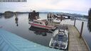 ./images/quadra/hbidock/20250301/hbidock20250301_173010M.jpg