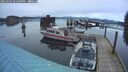 ./images/quadra/hbidock/20250301/hbidock20250301_175009M.jpg
