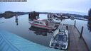 ./images/quadra/hbidock/20250302/hbidock20250302_070009M.jpg