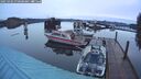 ./images/quadra/hbidock/20250302/hbidock20250302_070500M.jpg