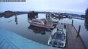 ./images/quadra/hbidock/20250302/hbidock20250302_070508M.jpg