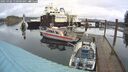./images/quadra/hbidock/20250302/hbidock20250302_110509M.jpg