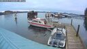 ./images/quadra/hbidock/20250303/hbidock20250303_073508M.jpg