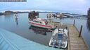 ./images/quadra/hbidock/20250303/hbidock20250303_074009M.jpg