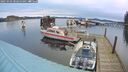./images/quadra/hbidock/20250303/hbidock20250303_080500M.jpg