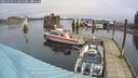 ./images/quadra/hbidock/20250303/hbidock20250303_113010M.jpg