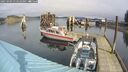 ./images/quadra/hbidock/20250303/hbidock20250303_114510M.jpg