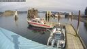 ./images/quadra/hbidock/20250303/hbidock20250303_115000M.jpg