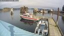 ./images/quadra/hbidock/20250303/hbidock20250303_115009M.jpg