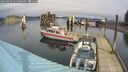 ./images/quadra/hbidock/20250303/hbidock20250303_115500M.jpg