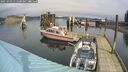 ./images/quadra/hbidock/20250303/hbidock20250303_115508M.jpg