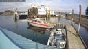 ./images/quadra/hbidock/20250303/hbidock20250303_131508M.jpg
