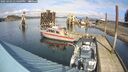 ./images/quadra/hbidock/20250303/hbidock20250303_134509M.jpg