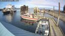 ./images/quadra/hbidock/20250303/hbidock20250303_144509M.jpg