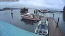 ./images/quadra/hbidock/20250304/hbidock20250304_071000M.jpg