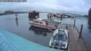 ./images/quadra/hbidock/20250304/hbidock20250304_071009M.jpg