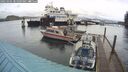 ./images/quadra/hbidock/20250304/hbidock20250304_085009M.jpg