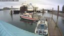 ./images/quadra/hbidock/20250304/hbidock20250304_130010M.jpg