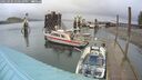 ./images/quadra/hbidock/20250304/hbidock20250304_140010M.jpg