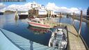 ./images/quadra/hbidock/20250305/hbidock20250305_125000M.jpg