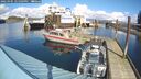 ./images/quadra/hbidock/20250305/hbidock20250305_125009M.jpg