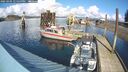 ./images/quadra/hbidock/20250305/hbidock20250305_135500M.jpg