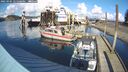 ./images/quadra/hbidock/20250305/hbidock20250305_145007M.jpg