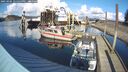 ./images/quadra/hbidock/20250305/hbidock20250305_145500M.jpg